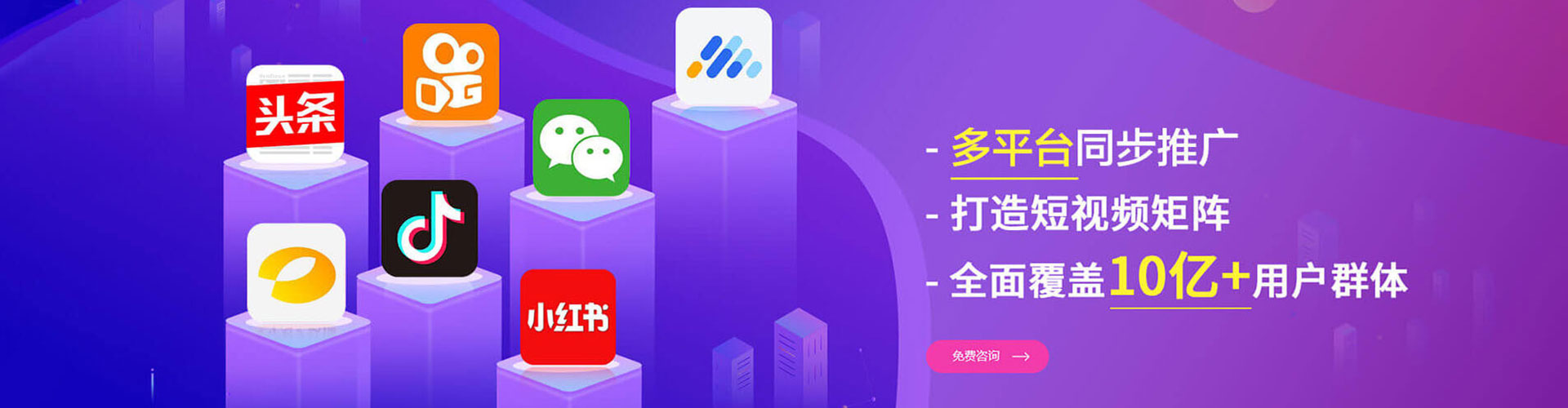 娄星竞价托管